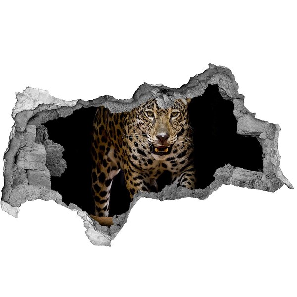 Hole in the wall decal Tiger in the jungle