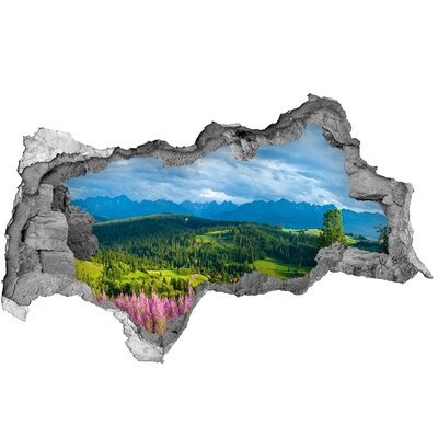 Hole wall sticker Mountain landscape with flowers