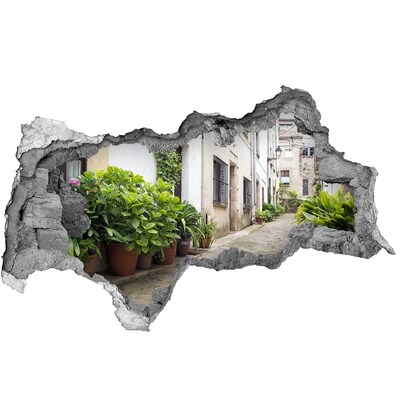Hole wall sticker A charming street with vegetation