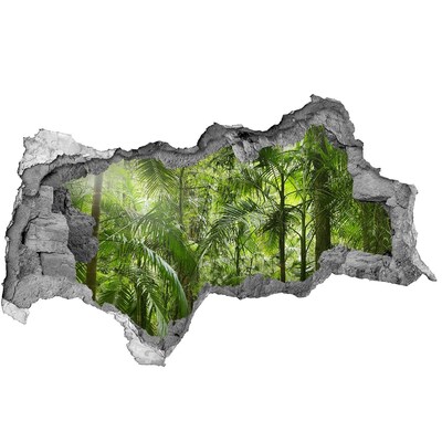 Hole in the wall sticker Tropical jungle behind the wall