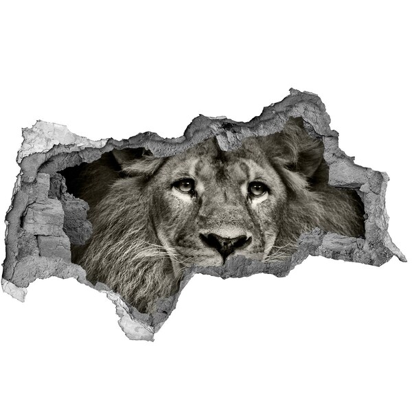 Hole in the wall sticker Lion portrait through a hole in the wall