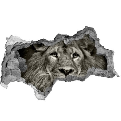 Hole in the wall sticker Lion portrait through a hole in the wall