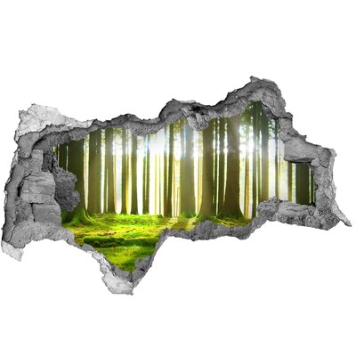 Hole in the wall sticker Green forest with sun rays