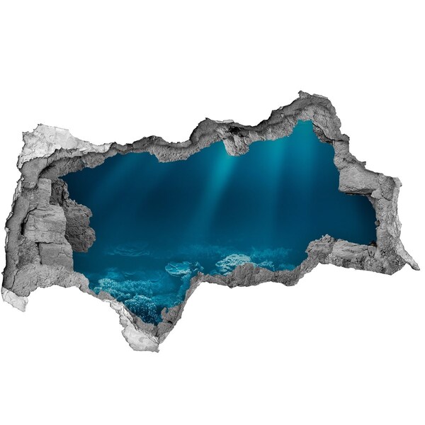 Hole in the wall decal The underwater world of corals