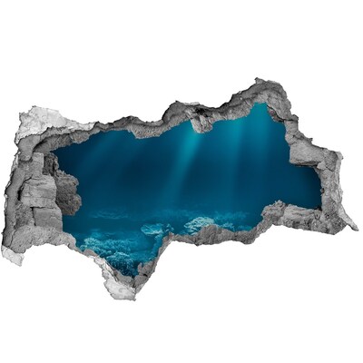 Hole in the wall decal The underwater world of corals