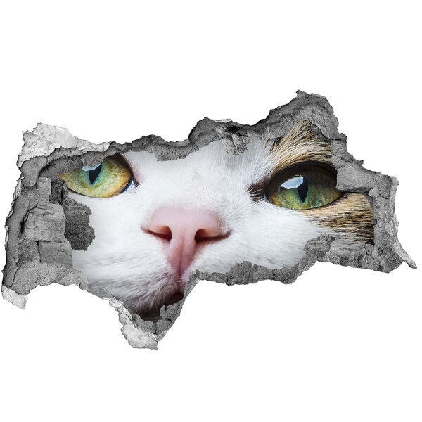 Hole in the wall decal The cat in the wall