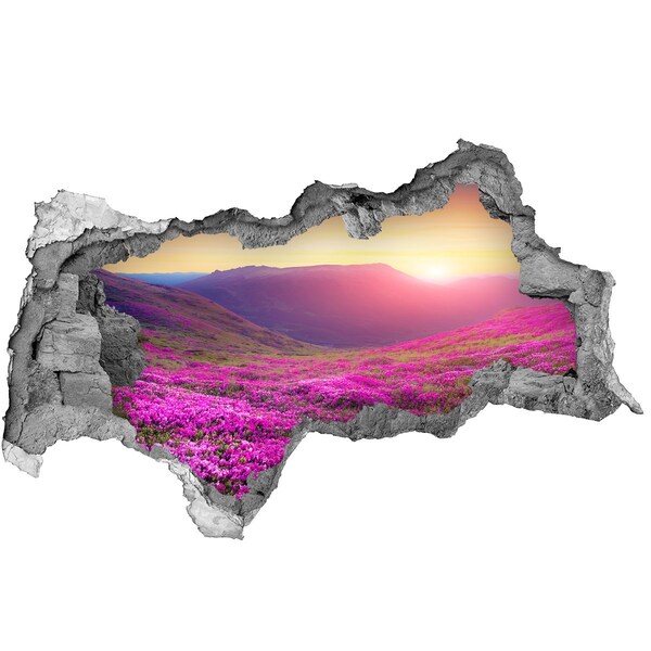 Hole wall sticker Flower Valley at Sunset