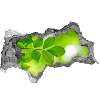 Hole in the wall sticker A green oasis in concrete