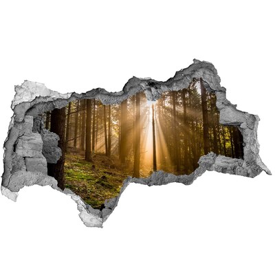 Hole wall sticker Forest oasis of light
