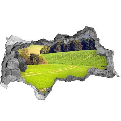 Hole wall sticker Green meadow behind the wall
