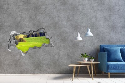 Hole wall sticker Green meadow behind the wall
