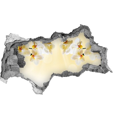 Hole in the wall decal A floral oasis behind the wall