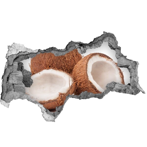 Hole in the wall decal Coconut Treasures