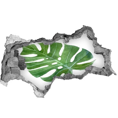 Hole wall sticker Green monstera in concrete