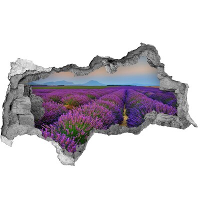 Hole in the wall sticker Lavender fields in the sun