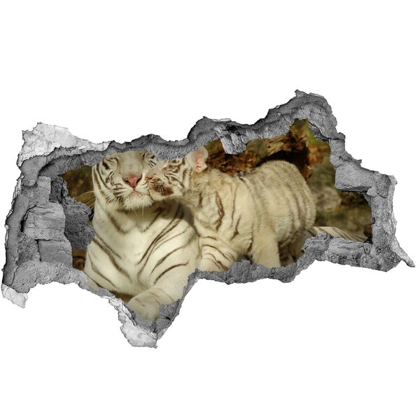 Hole wall sticker White tigers in nature