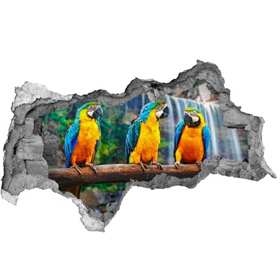 Hole wall sticker Paradise parrots at the waterfall