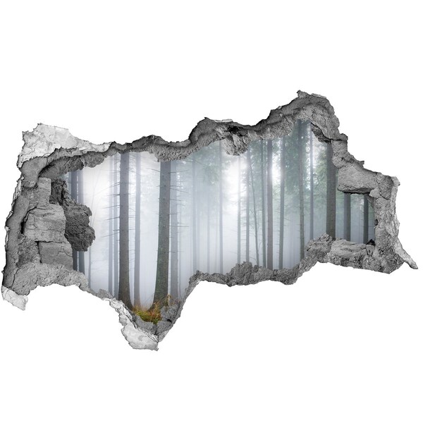 Hole in the wall decal Misty forest