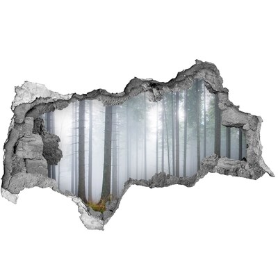 Hole in the wall decal Misty forest