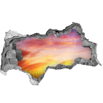 Hole in the wall sticker Sunset over the meadow