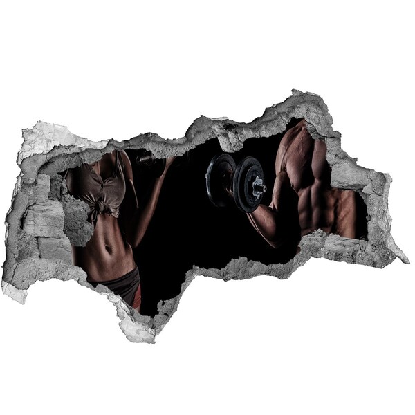 Hole in the wall sticker Gym at home