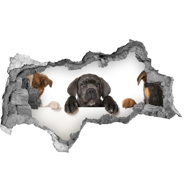 Hole in the wall sticker Sweet puppy from behind the wall
