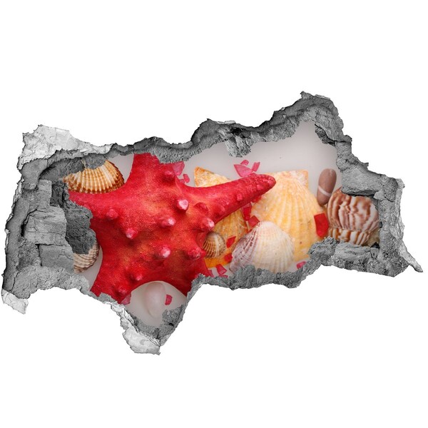 Hole wall sticker Underwater world with shells