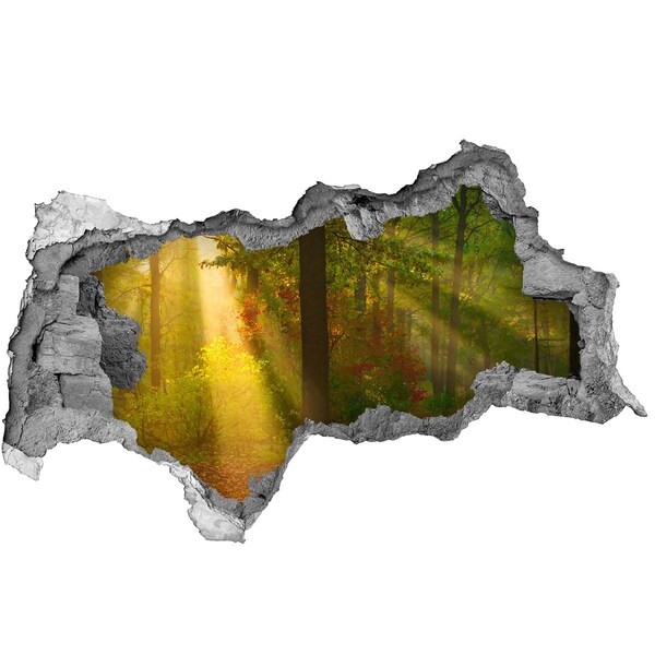 Hole in the wall decal Autumn forest scenery