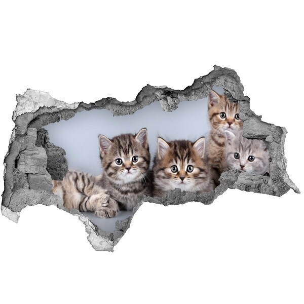 Hole wall sticker Kittens in a hole in the wall