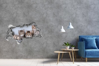 Hole wall sticker Kittens in a hole in the wall