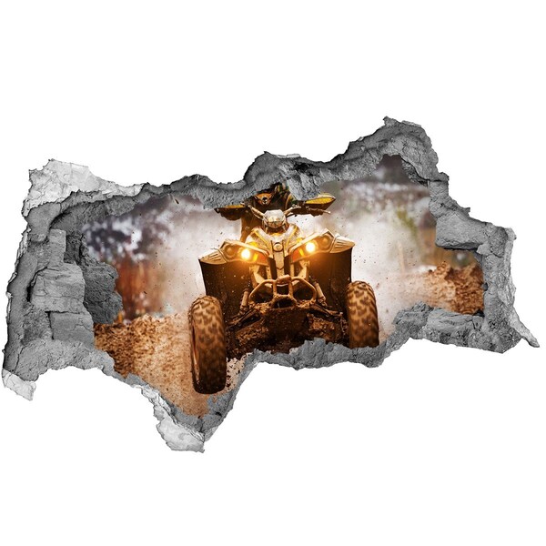 Hole in the wall decal Rally quad in action