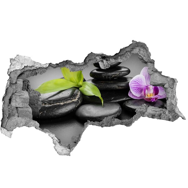 Hole in the wall decal A relaxing view with stones and plants