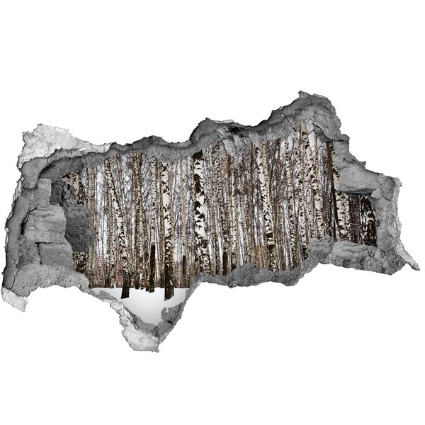 Hole wall sticker Winter birch forest