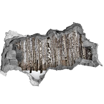 Hole wall sticker Winter birch forest