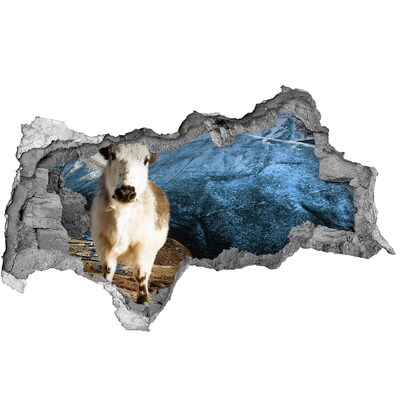 Hole wall sticker Mountain Buffalo in a Hole in the Wall