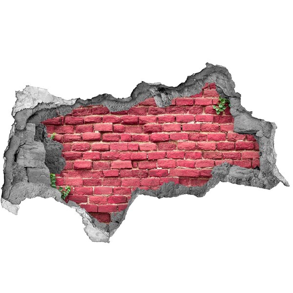 Hole in the wall decal Red brick in the wall
