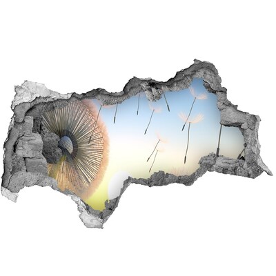 Hole in the wall sticker Dandelions against the sunset background