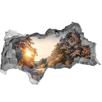 Hole in the wall decal Winter landscape in the forest