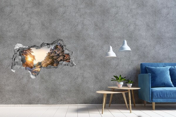 Hole in the wall decal Winter landscape in the forest