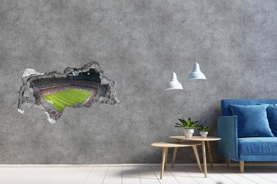 Hole wall sticker The football stadium in action