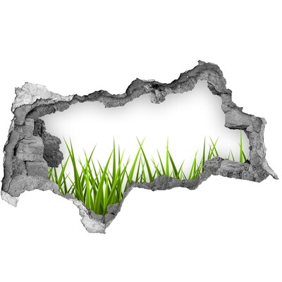 Hole in the wall sticker A green meadow behind the wall