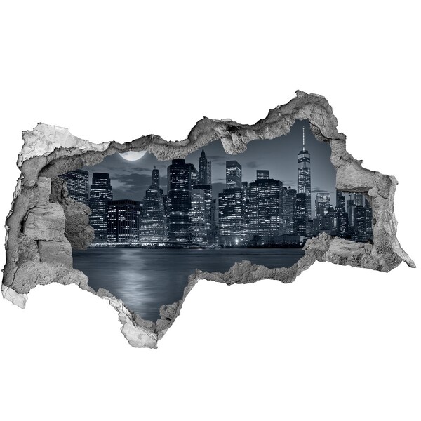 Hole in the wall sticker View of New York