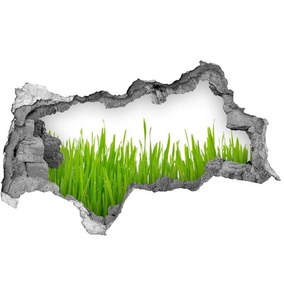 Hole in the wall decal A green meadow behind the wall