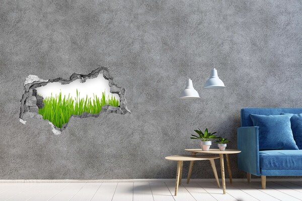 Hole in the wall decal A green meadow behind the wall