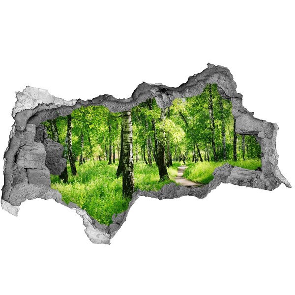 Hole in the wall decal Green forest in the sunlight