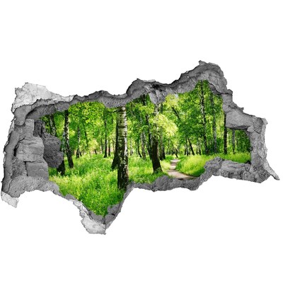 Hole in the wall decal Green forest in the sunlight