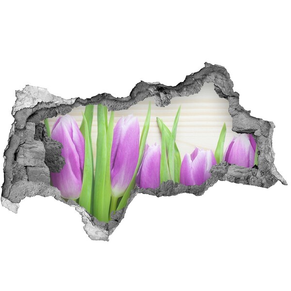 Hole in the wall decal Flowers in a hole in the wall