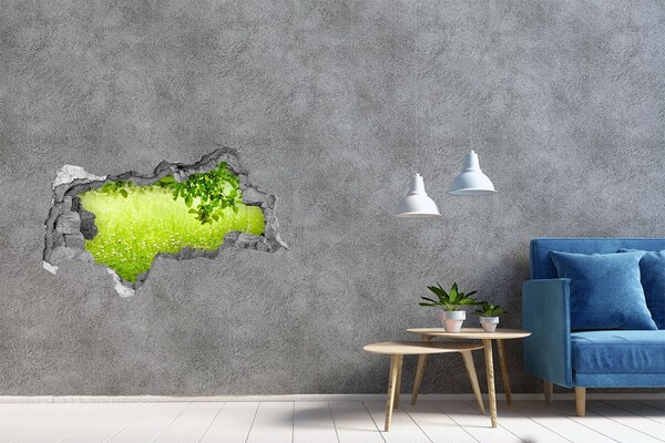Hole in the wall decal A green meadow behind the wall