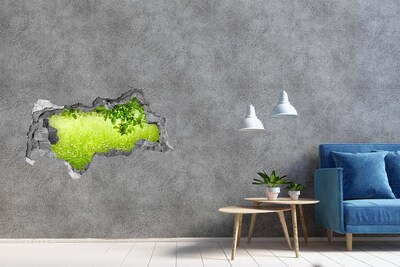 Hole in the wall decal A green meadow behind the wall