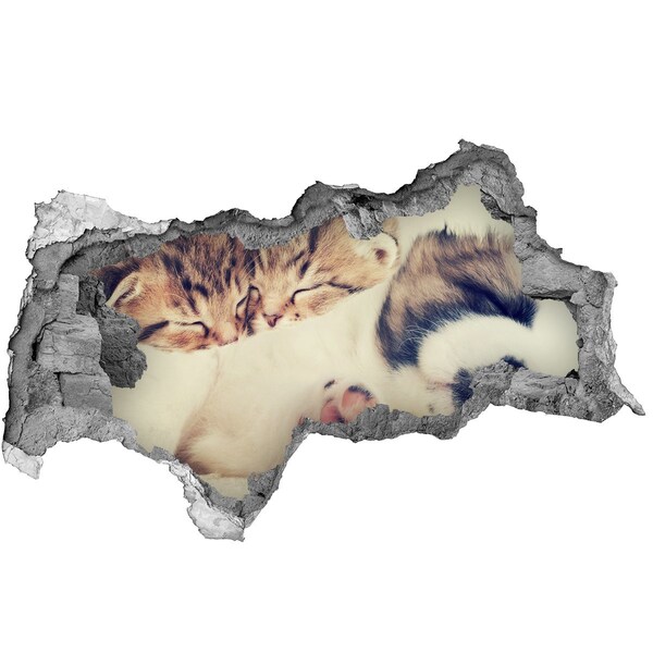 Hole wall sticker Cute kittens in a hole in the wall